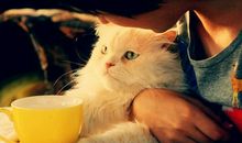 A微日记2017年10月白羊座运势