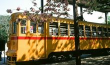 柒爸2017年11月白羊座运势