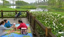 未来你会安居乐业还是漂浮不定？