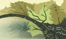 会与处女座共度一生的星座