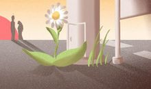 十二星座男生喜欢什么礼物