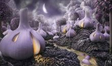 巨蟹座专属别墅