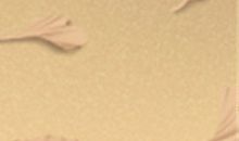 教你一招看透摩羯座坏男