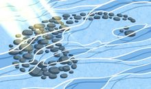 六种长寿养生最好的米