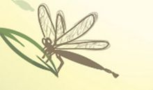 狮子座同情心指数大公开