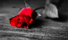 水瓶座会纠结一整天的事