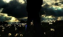 上升星座落在狮子座（六宫头在摩羯座），看你找工作的优势和机会