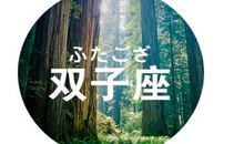 双子座如何处理年末带来的压力