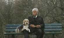 O血型人为爱死撑的原因