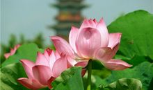 Alex天秤座一周运势（7.9—7.15）