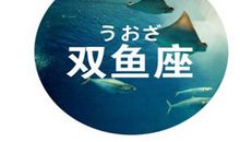 双鱼座如何处理年末带来的压力