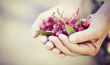 上升星座落在天蝎座（六宫头在白羊座），看你找工作的优势和机会