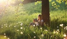 你是一个高尚风雅，脱离庸俗的人吗