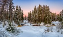 属猴2019年的风水吉凶方位