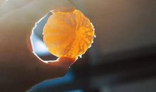 水瓶座的职场弱点