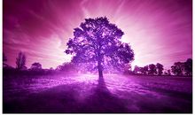 上升星座落在金牛座（六宫头在天秤座），看你找工作的优势和机会