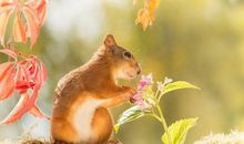 Geo老师白羊座一周运势（8.5-8.11）