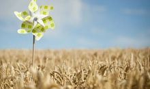 OSAMA白羊座2018年8月运势