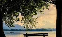 双鱼座与旧爱和好的理由