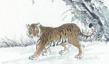 1950年属虎的人2020年运势大全及破解