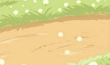 金牛座把时间与精力放在哪儿？