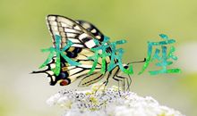 职场中水瓶座拿什么来保护自己