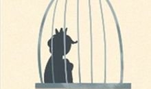 天蝎座创业如何选择行业