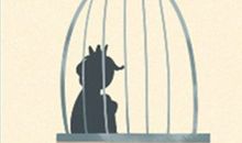 金牛座创业如何选择行业