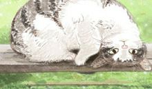 疯起来连空气都替TA们尴尬的傻逼星座