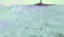 双子座的爱情“摄氏度”