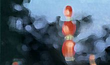 水瓶座该如何脱离爱情黑洞