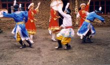 赫哲族居住在什么地方