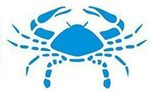 巨蟹座的发财梦