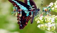 神马影响了射手座魅力值