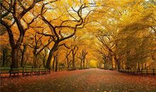 巨蟹座在旅途中会为了什么而停留