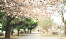 巨蟹座哪件事越想越后悔