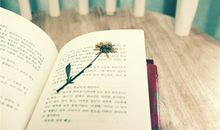 巨蟹座会因为什么而悔不当初