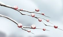 2017年白色情人节领证好不好，白色情人节结婚好吗