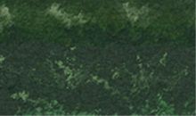 处女座女生喜欢什么样的男生