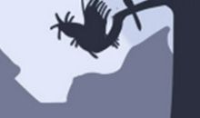 十二星座戒不掉的习惯