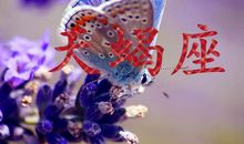 神马影响了天蝎座魅力值