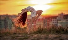 属狗的后半生命运很惨吗