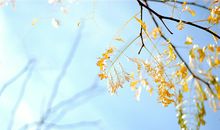 金牛座哪件事越想越后悔