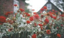 玛法达2017年金牛座运势