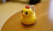 玛法达2017年摩羯座运势