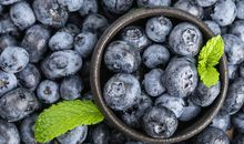 天蝎座性格象蓝梅