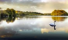 水瓶座为什么被黑，黑水瓶座