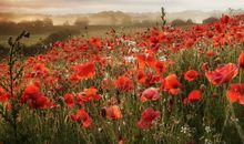 当你跟着巨蟹座一起去旅行