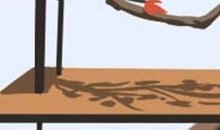 处女座的浪漫圣诞节