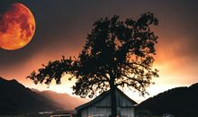 属龙的历史名人有哪些